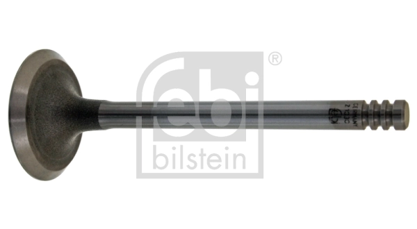 Intake Valve